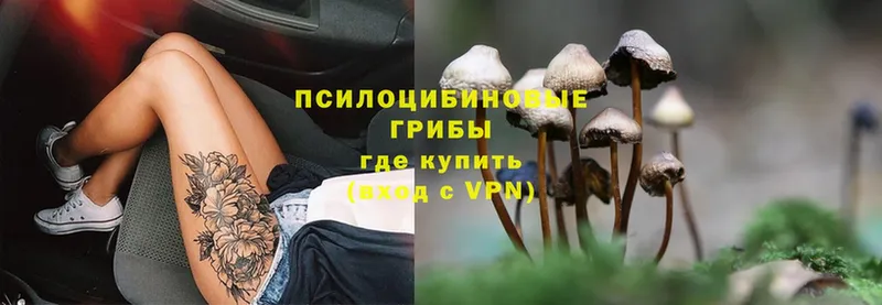 Галлюциногенные грибы Magic Shrooms  Грайворон 